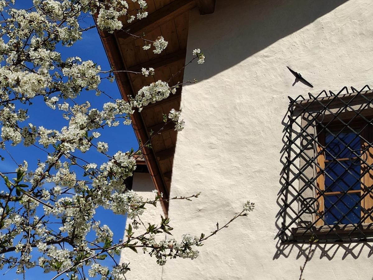 Ferienwohnung Ansitz Lidl Tisens Exterior foto